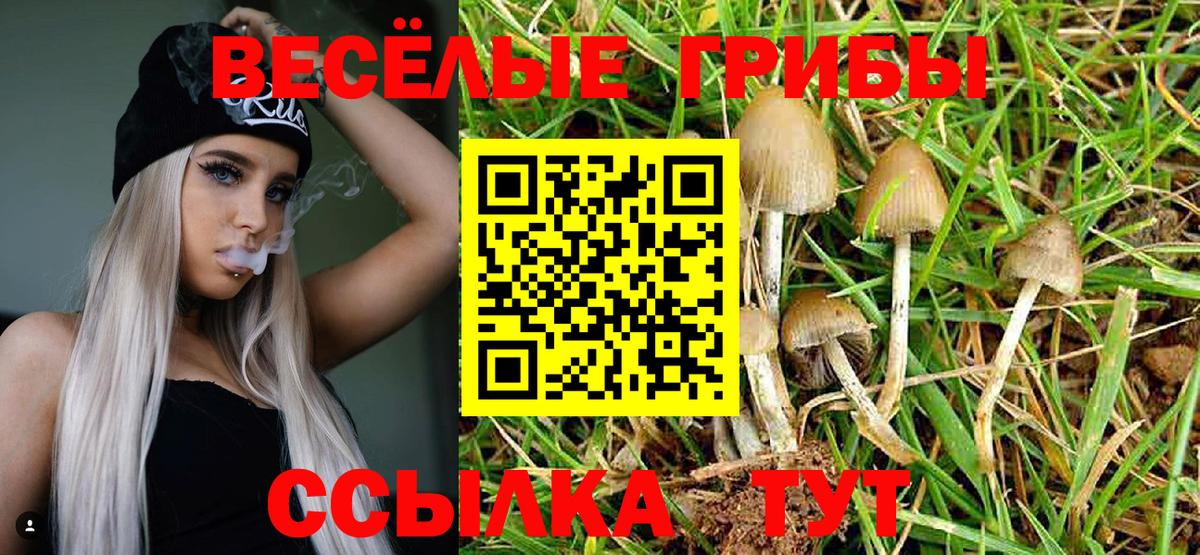 Галлюциногенные грибы MAGIC MUSHROOMS Белая Калитва